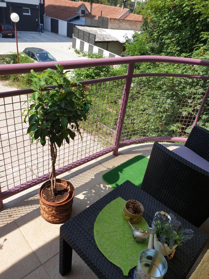 Lux Apartman ชาชาค ภายนอก รูปภาพ